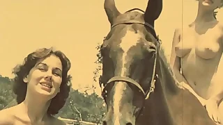 71 vintage porn videos